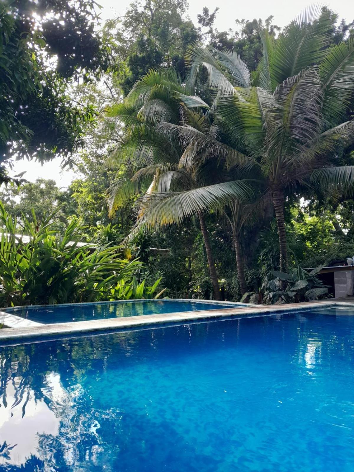 Hammock Plantation Διαμέρισμα El Zonte Εξωτερικό φωτογραφία
