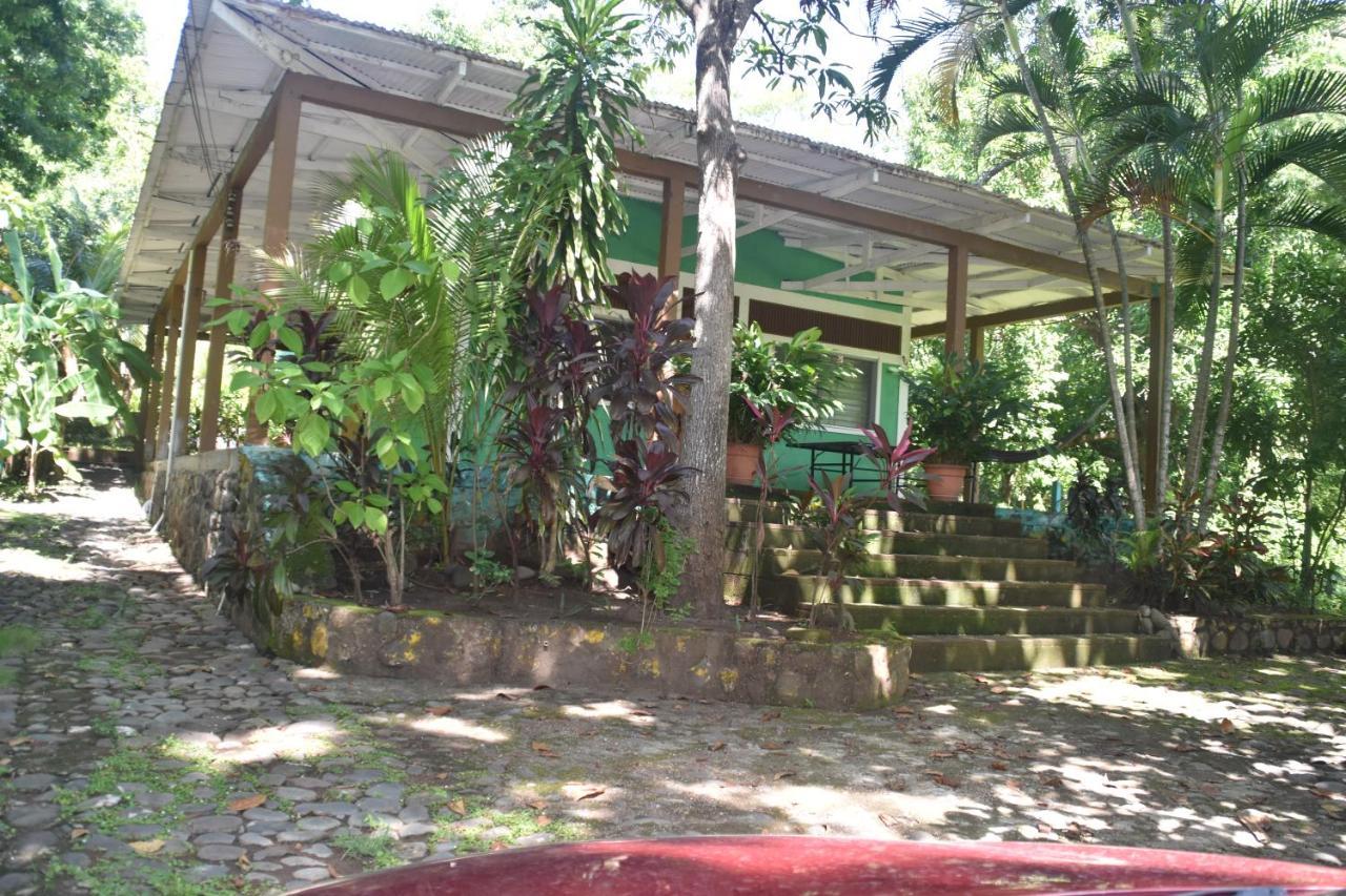 Hammock Plantation Διαμέρισμα El Zonte Εξωτερικό φωτογραφία